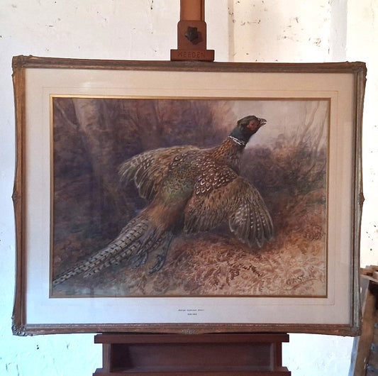 'Pheasant taking flight'    George Anderson Short (1856-1945) Watercolour