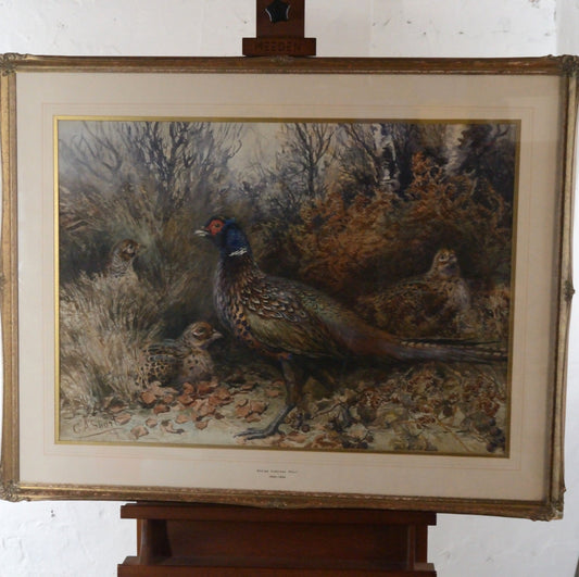 'Pheasants'    George Anderson Short (1856-1945) Watercolour
