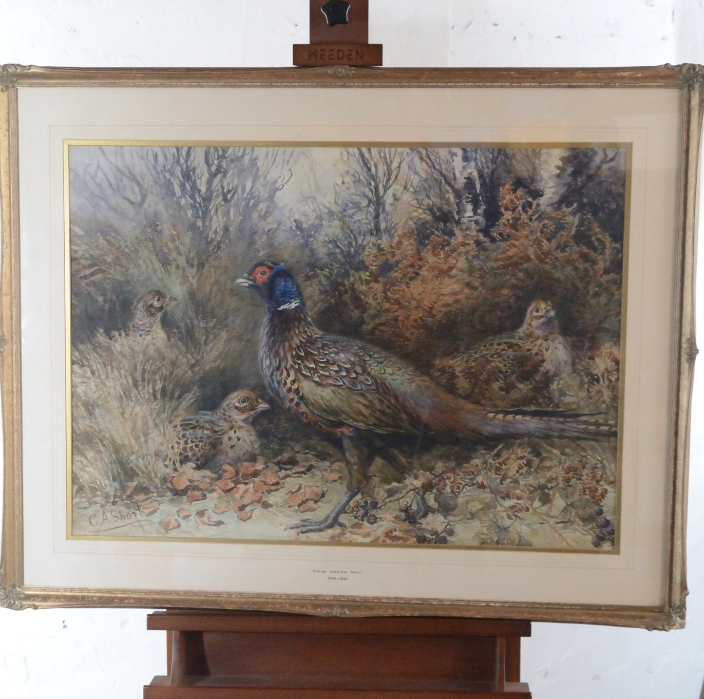'Pheasants'    George Anderson Short (1856-1945) Watercolour
