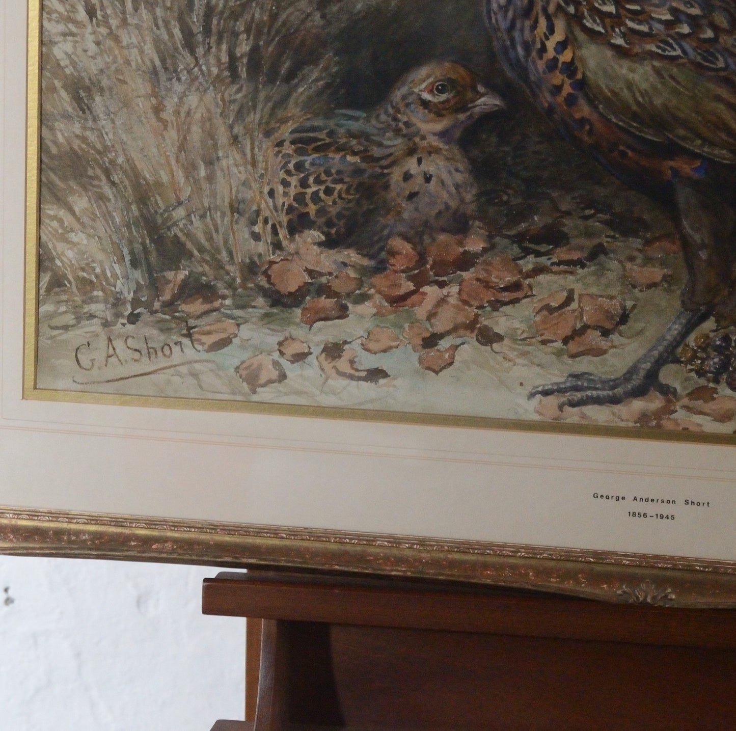 'Pheasants'    George Anderson Short (1856-1945) Watercolour