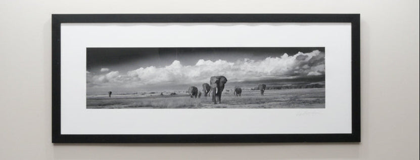 Amboseli Under Stormy Clouds, Alwyn R Coates