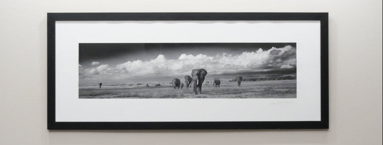 Amboseli Under Stormy Clouds, Alwyn R Coates