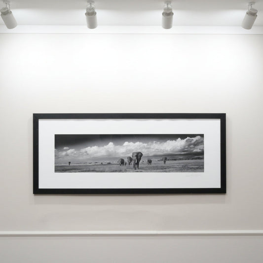 Amboseli Under Stormy Clouds, Alwyn R Coates