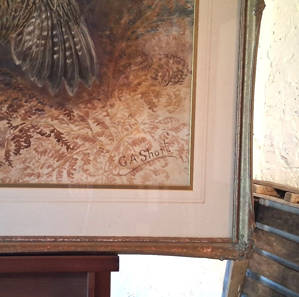 'Pheasant taking flight'    George Anderson Short (1856-1945) Watercolour