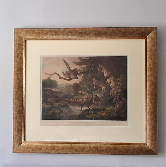 'Pheasants Feeding'  An engraving by P Reinagle R.A.