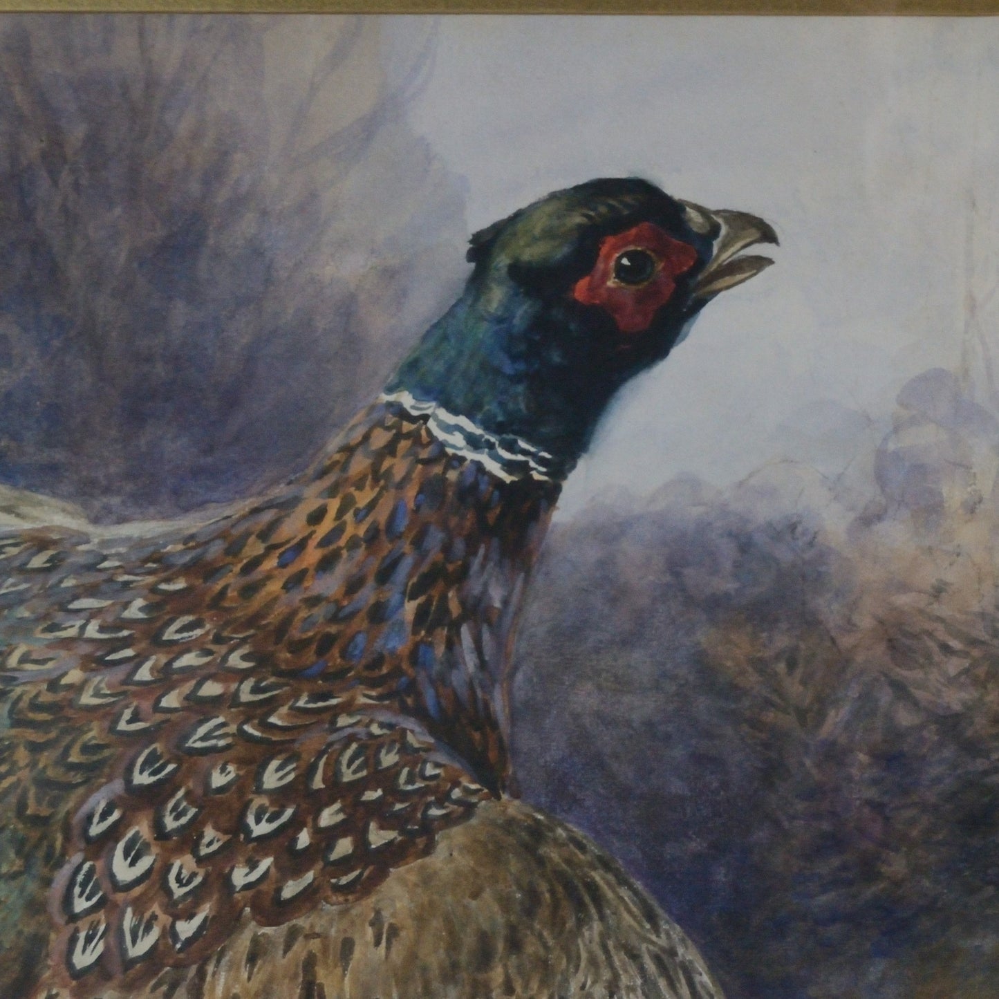'Pheasant taking flight'    George Anderson Short (1856-1945) Watercolour