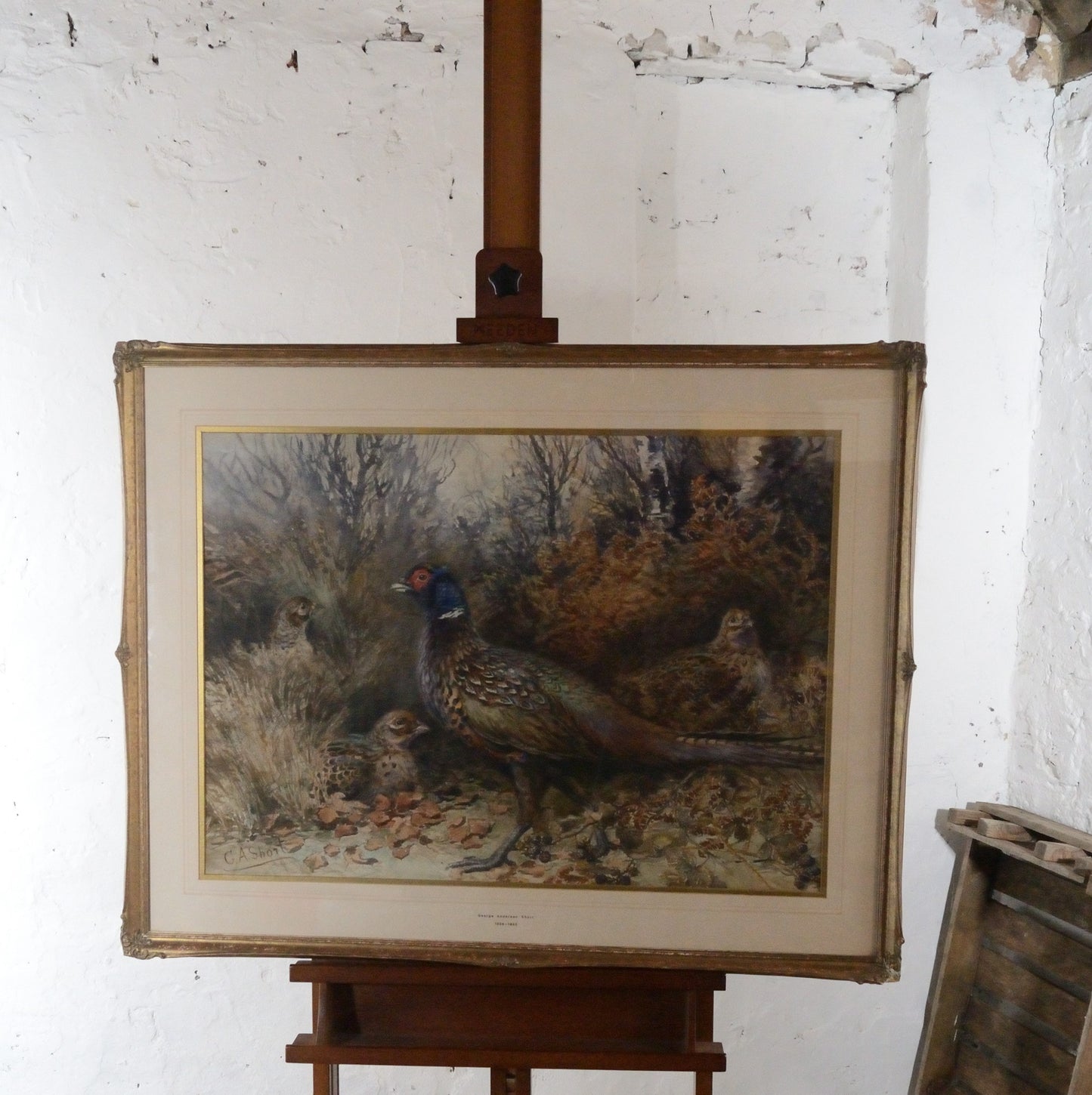 'Pheasants'    George Anderson Short (1856-1945) Watercolour