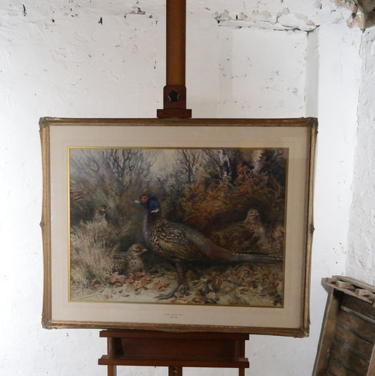 'Pheasants'    George Anderson Short (1856-1945) Watercolour