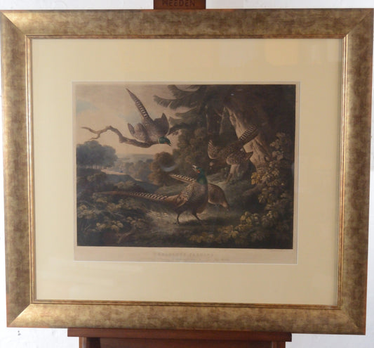 'Pheasants Feeding'  An engraving by P Reinagle R.A.